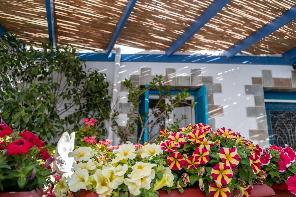 Achat d'une pergola : les tendances actuelles du marché