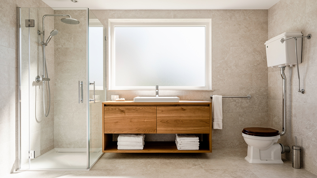 Cabinets d'aisances vs toilettes modernes : quelle différence